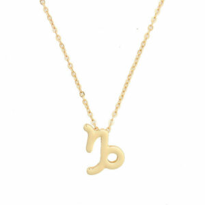 Capricorn Pendant Necklace Chain Set