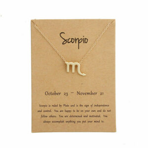 Scorpio Pendant Necklace Chain Set