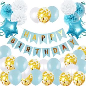 Happy Birthday Blue Theme Balloons
